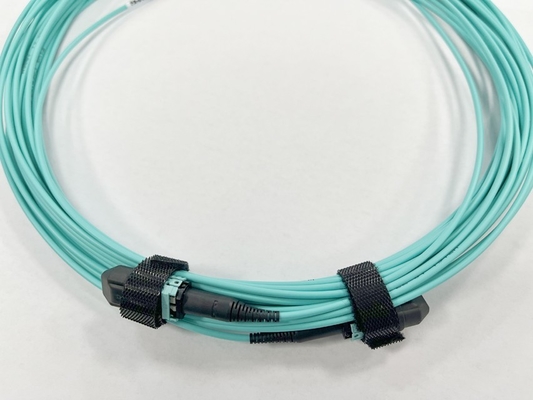 8F OM4 2mm OD MPO(F)-MPO(F) B형 OFNP 저손실 13m