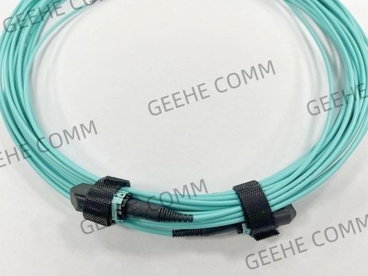 8F OM4 2mm OD MPO(F)-MPO(F) B형 OFNP 저손실 13m