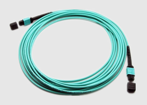 연한 녹청색 10Gbs 멀티 모드 24 섬유 OM4 MPO 패치 코드